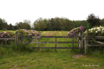 Landgoed Zonnebeek